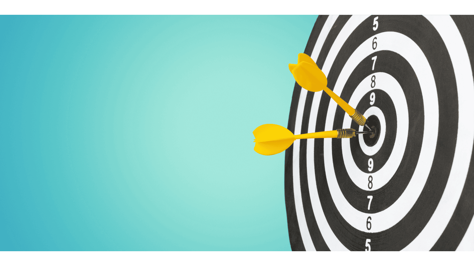 You’re Not the COO I Hired: How COOs Can Find and Sustain Alignment